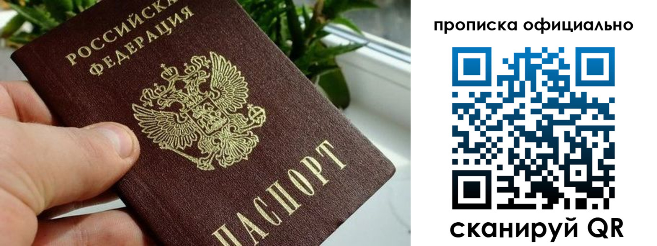 прописка поиск в Азнакаево